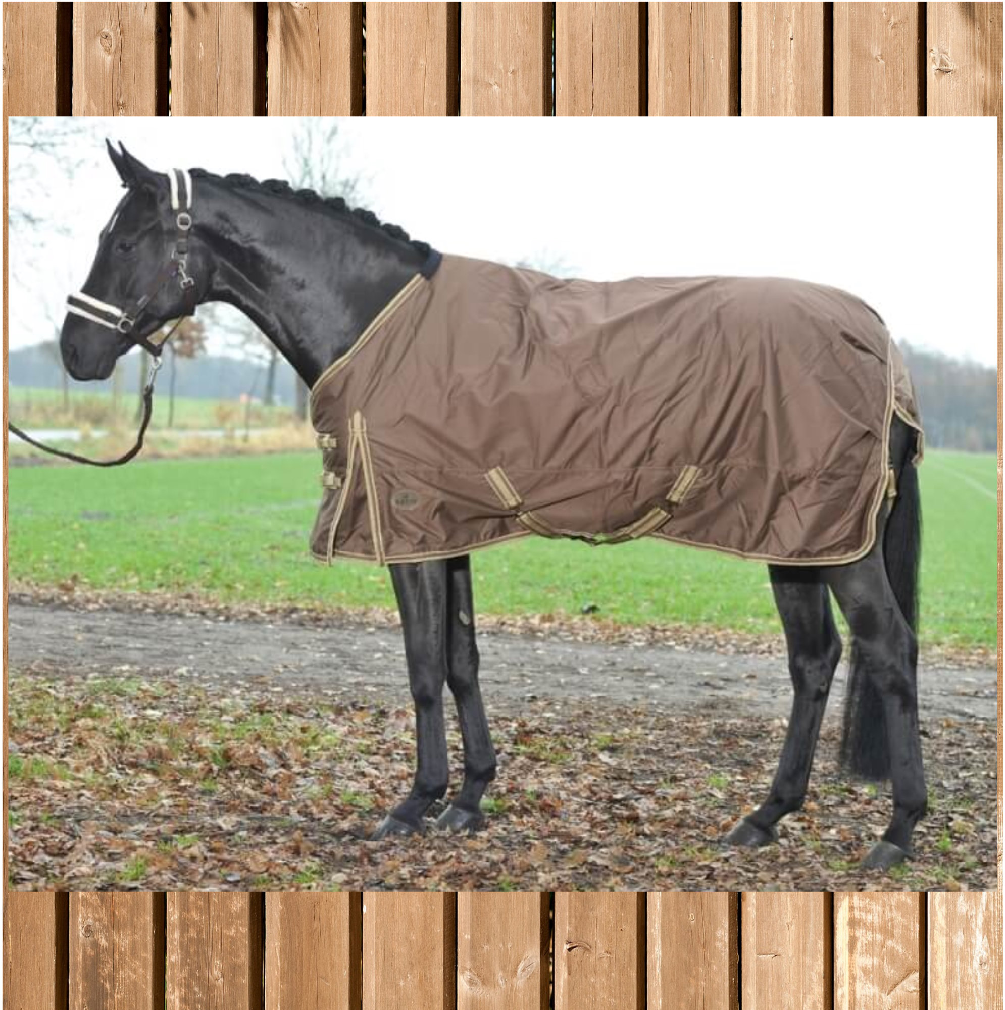 Everline Paddockdecke Move Fleece, Busse Regendecke, Kakao